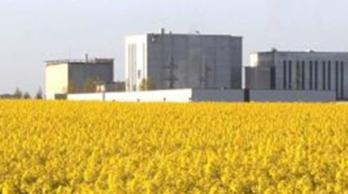 Ingredia : une nouvelle chaufferie biomasse vertueuse